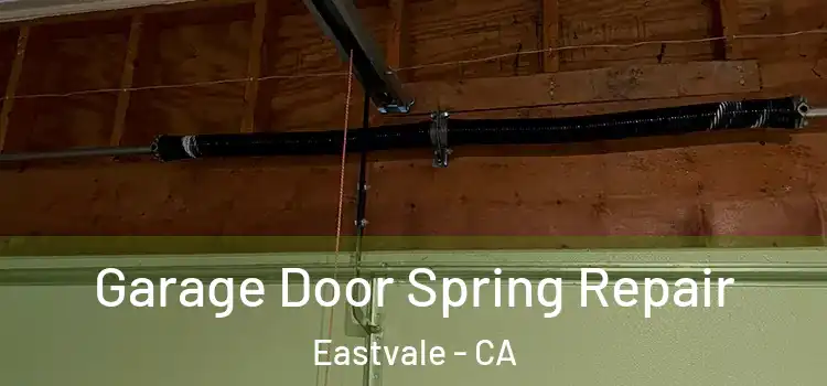  Garage Door Spring Repair Eastvale - CA